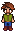 DELL avatar