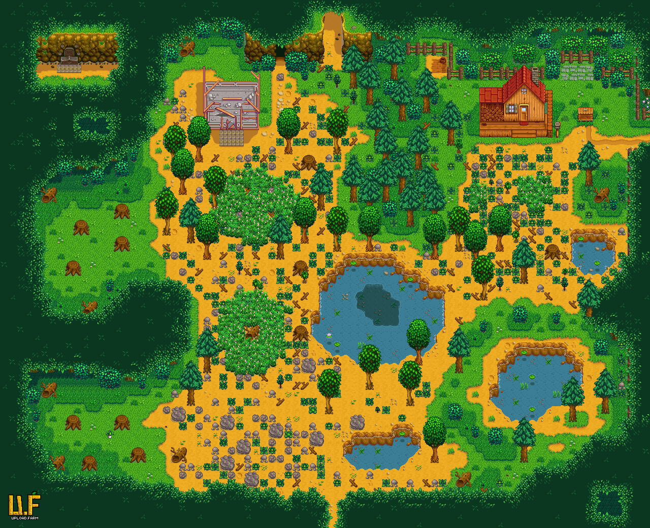 Stardew valley тайный лес